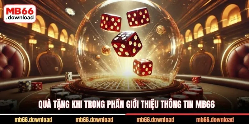 Quà tặng khi trong phần giới thiệu thông tin MB66